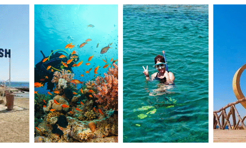 Magawish Island Dive & Dine Tour
