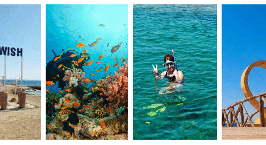 Magawish Island Dive & Dine Tour
