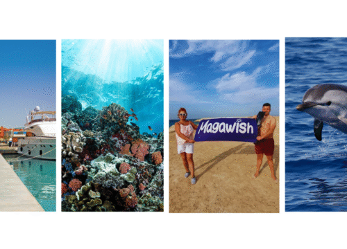Yacht Trip to Magawish Island with Snorkeling & Lunch